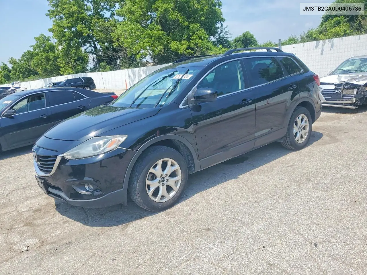 2013 Mazda Cx-9 Touring VIN: JM3TB2CA0D0406736 Lot: 61613786