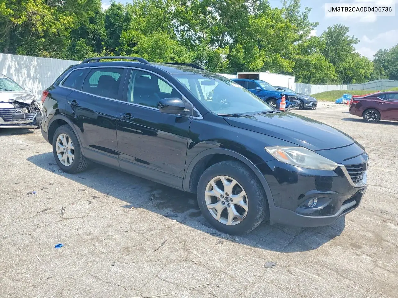 2013 Mazda Cx-9 Touring VIN: JM3TB2CA0D0406736 Lot: 61613786