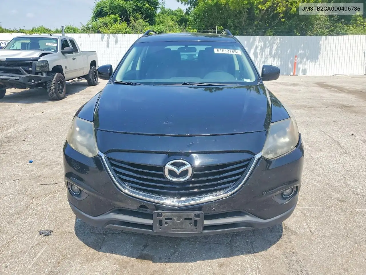 2013 Mazda Cx-9 Touring VIN: JM3TB2CA0D0406736 Lot: 61613786