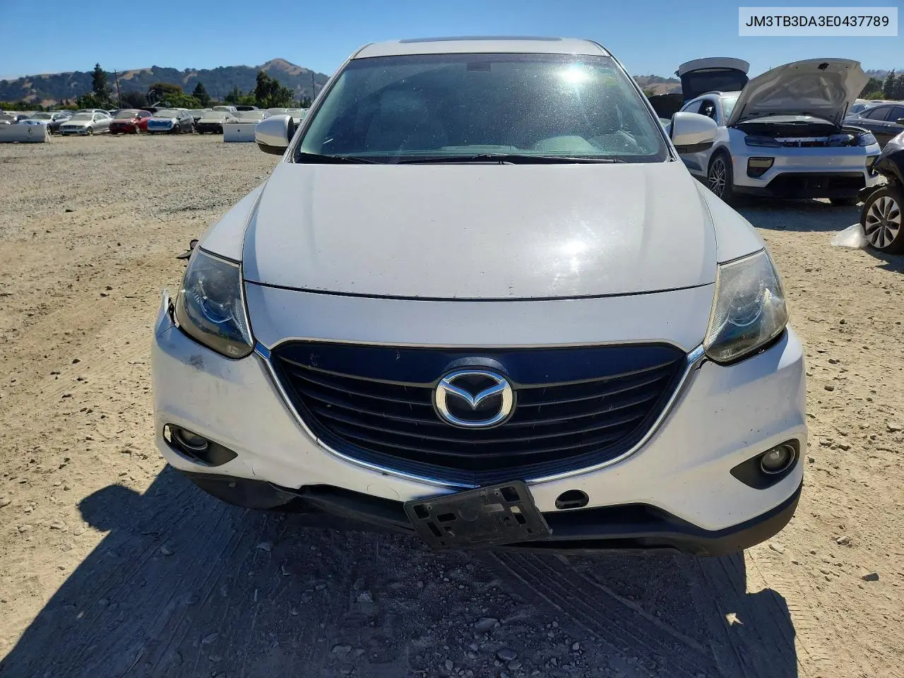 2014 Mazda Cx-9 Grand Touring VIN: JM3TB3DA3E0437789 Lot: 60036776
