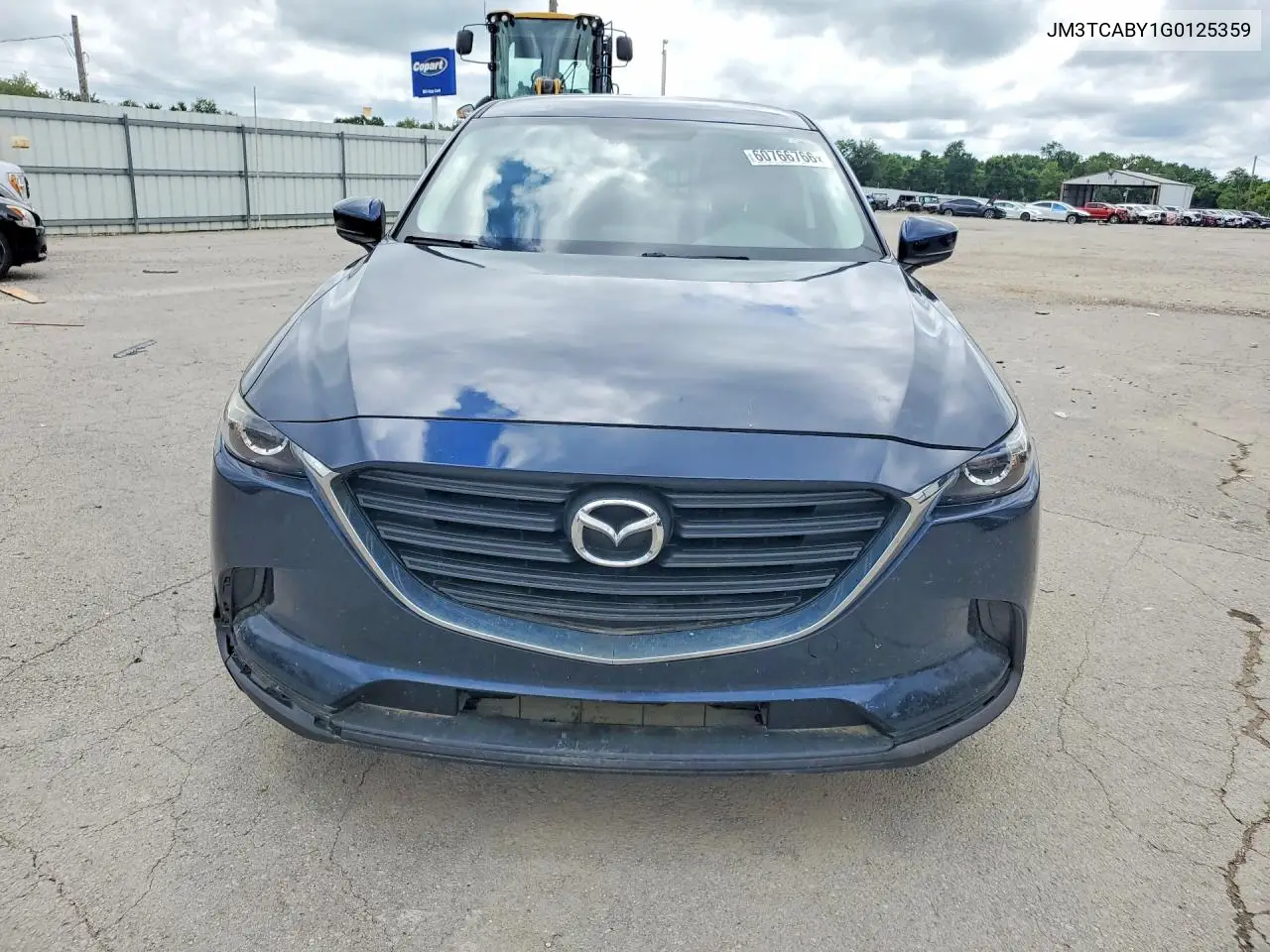 2016 Mazda Cx-9 Touring VIN: JM3TCABY1G0125359 Lot: 60766766