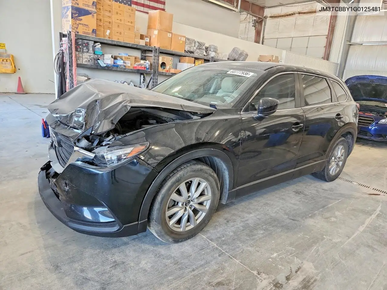 2016 Mazda Cx-9 Touring VIN: JM3TCBBY1G0125481 Lot: 60777936