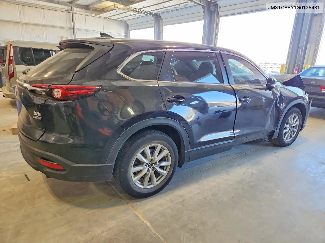2016 Mazda Cx-9 Touring VIN: JM3TCBBY1G0125481 Lot: 60777936