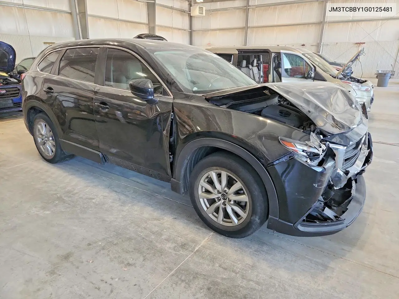 2016 Mazda Cx-9 Touring VIN: JM3TCBBY1G0125481 Lot: 60777936