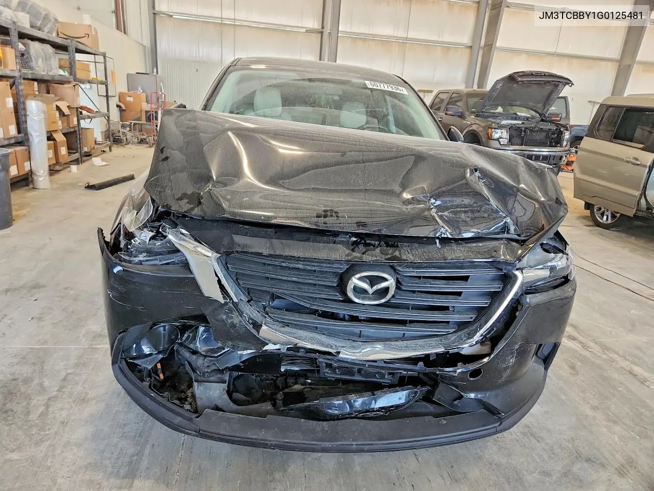 2016 Mazda Cx-9 Touring VIN: JM3TCBBY1G0125481 Lot: 60777936
