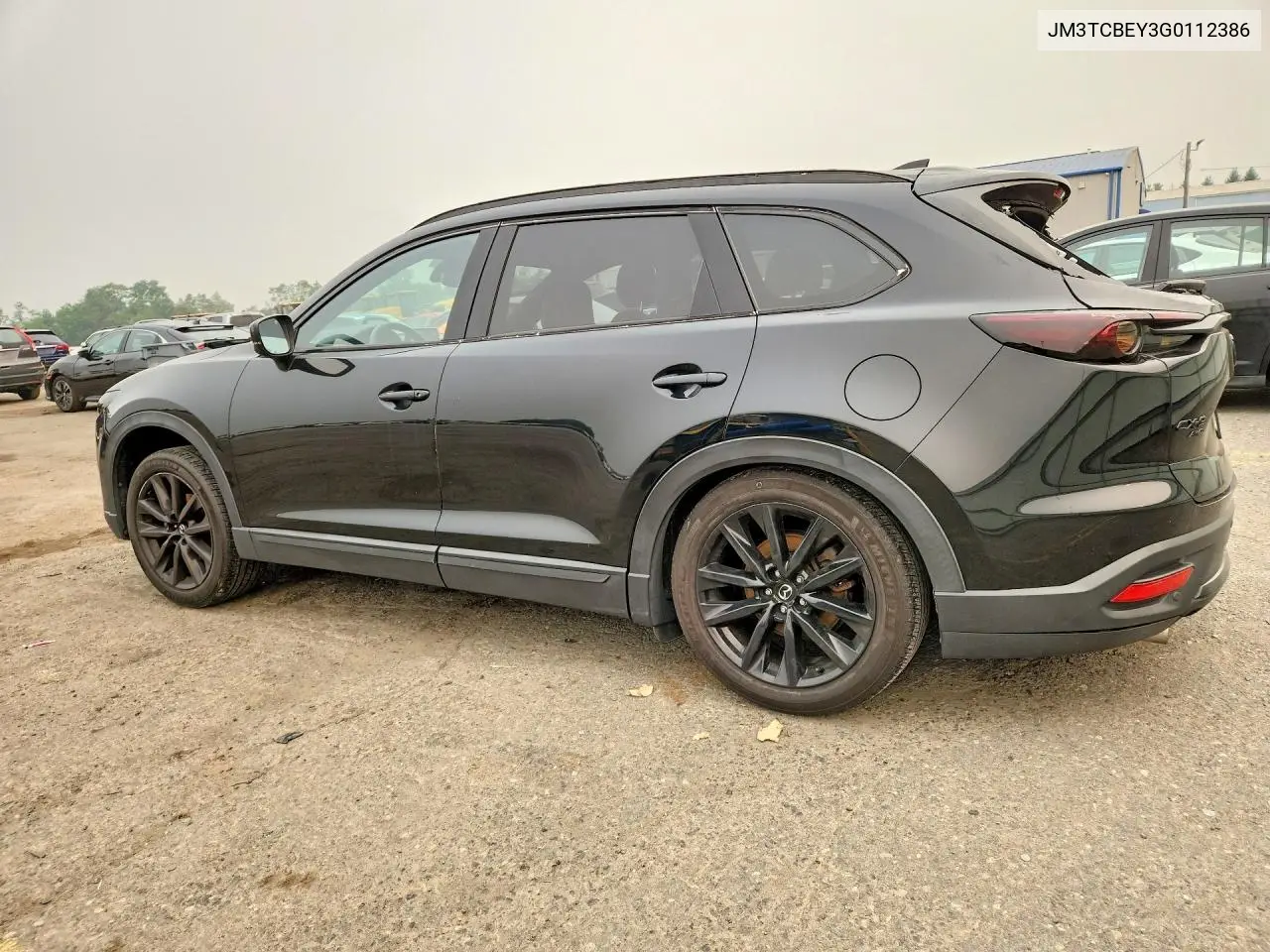 2016 Mazda Cx-9 Signature VIN: JM3TCBEY3G0112386 Lot: 60895466