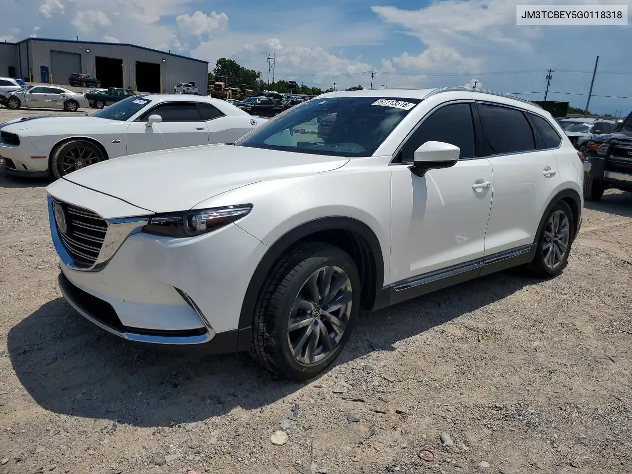 2016 Mazda Cx-9 Signature VIN: JM3TCBEY5G0118318 Lot: 61113516