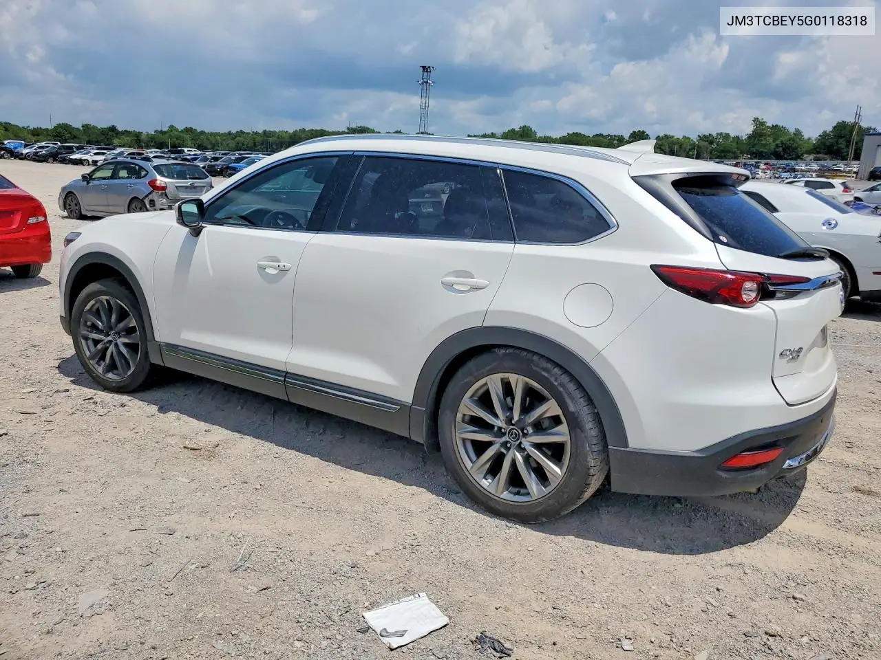 2016 Mazda Cx-9 Signature VIN: JM3TCBEY5G0118318 Lot: 61113516