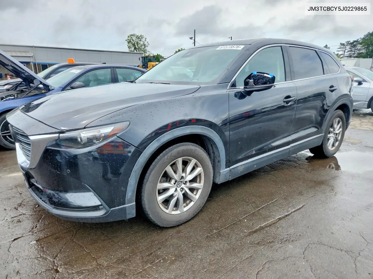 2018 Mazda Cx-9 Touring VIN: JM3TCBCY5J0229865 Lot: 61573576