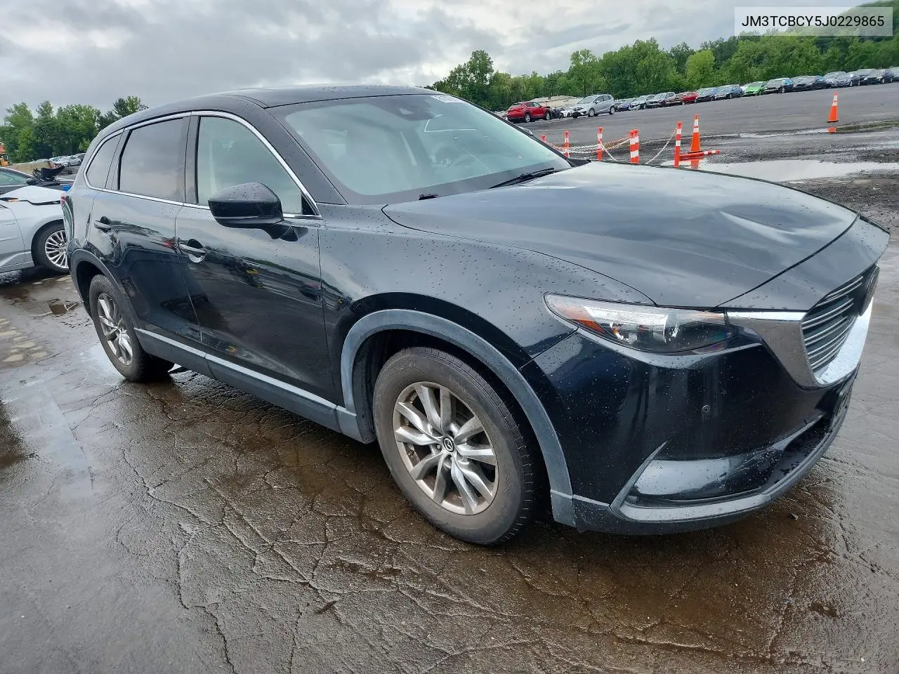 2018 Mazda Cx-9 Touring VIN: JM3TCBCY5J0229865 Lot: 61573576