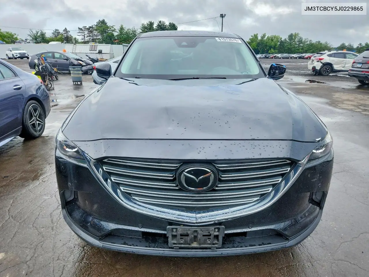 2018 Mazda Cx-9 Touring VIN: JM3TCBCY5J0229865 Lot: 61573576