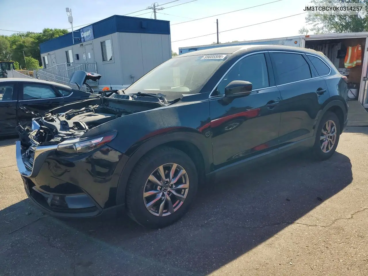 2019 Mazda Cx-9 Touring VIN: JM3TCBCY0K0314257 Lot: 55685506