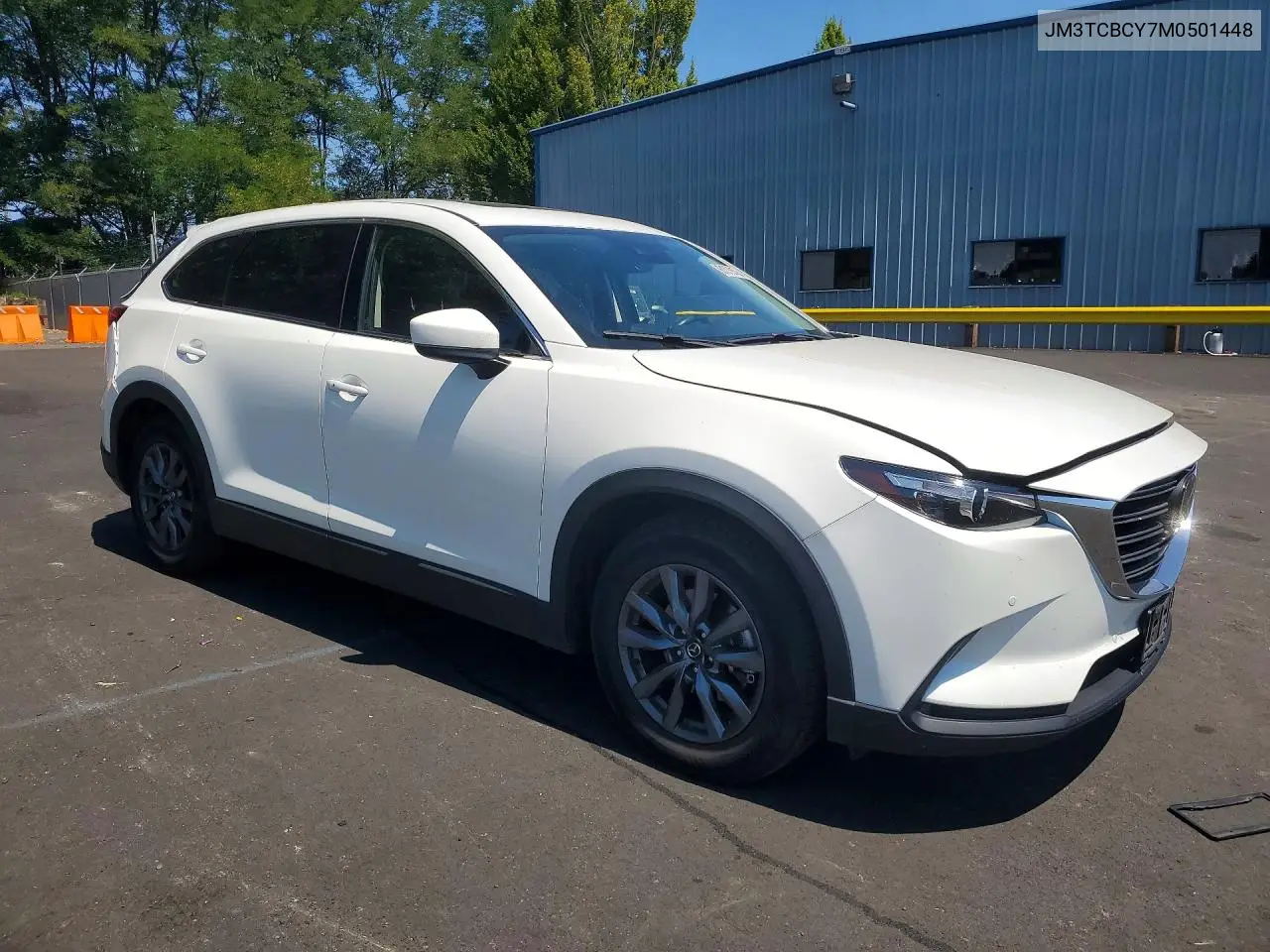 2021 Mazda Cx-9 Touring VIN: JM3TCBCY7M0501448 Lot: 61078166