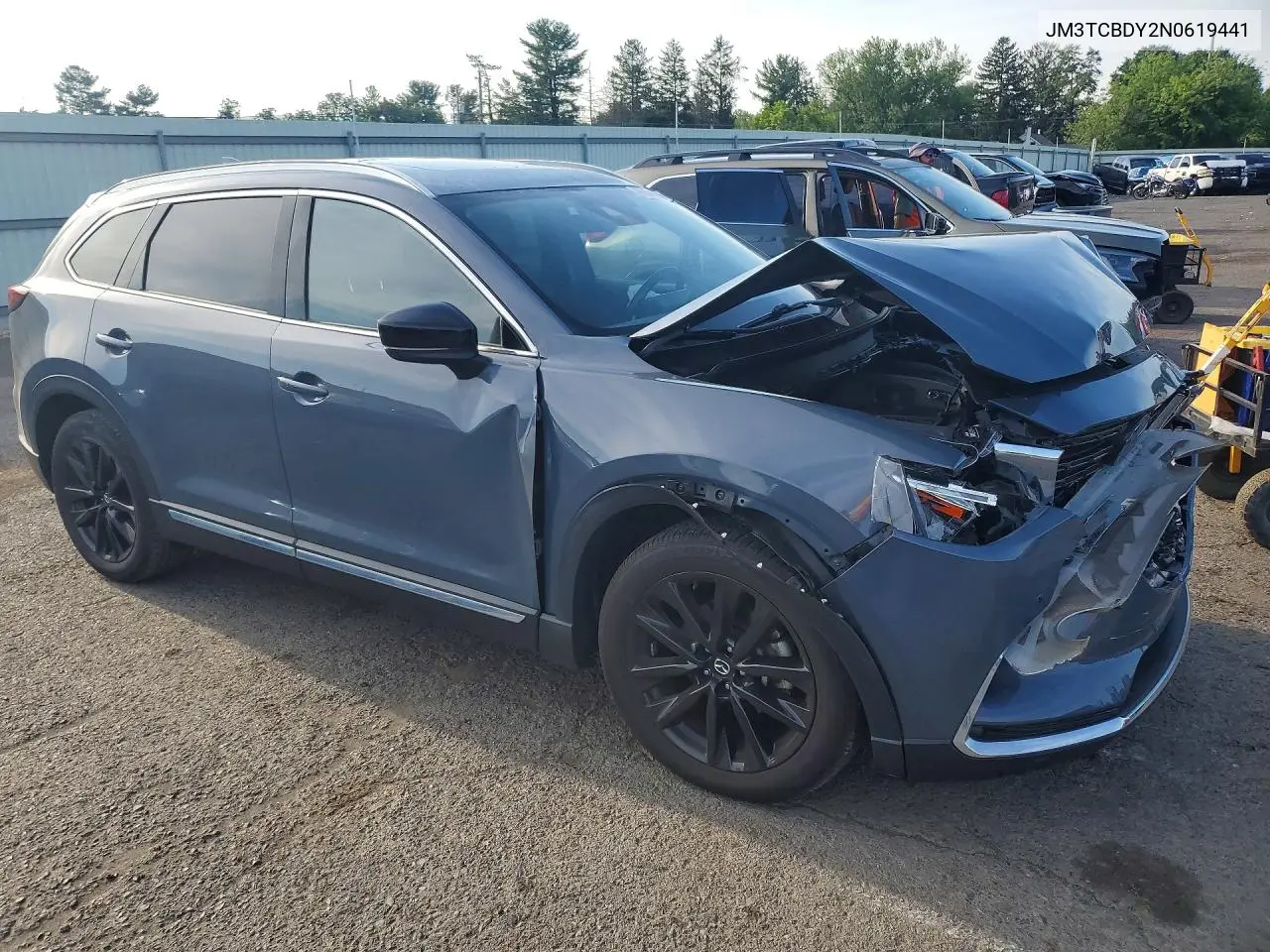 2022 Mazda Cx-9 Grand Touring VIN: JM3TCBDY2N0619441 Lot: 60955266
