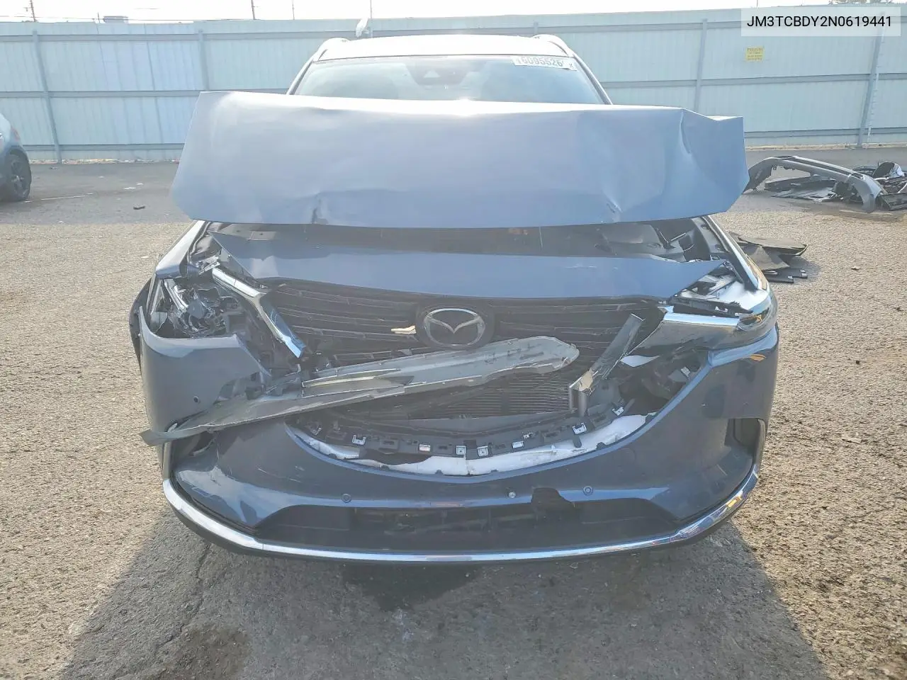 2022 Mazda Cx-9 Grand Touring VIN: JM3TCBDY2N0619441 Lot: 60955266