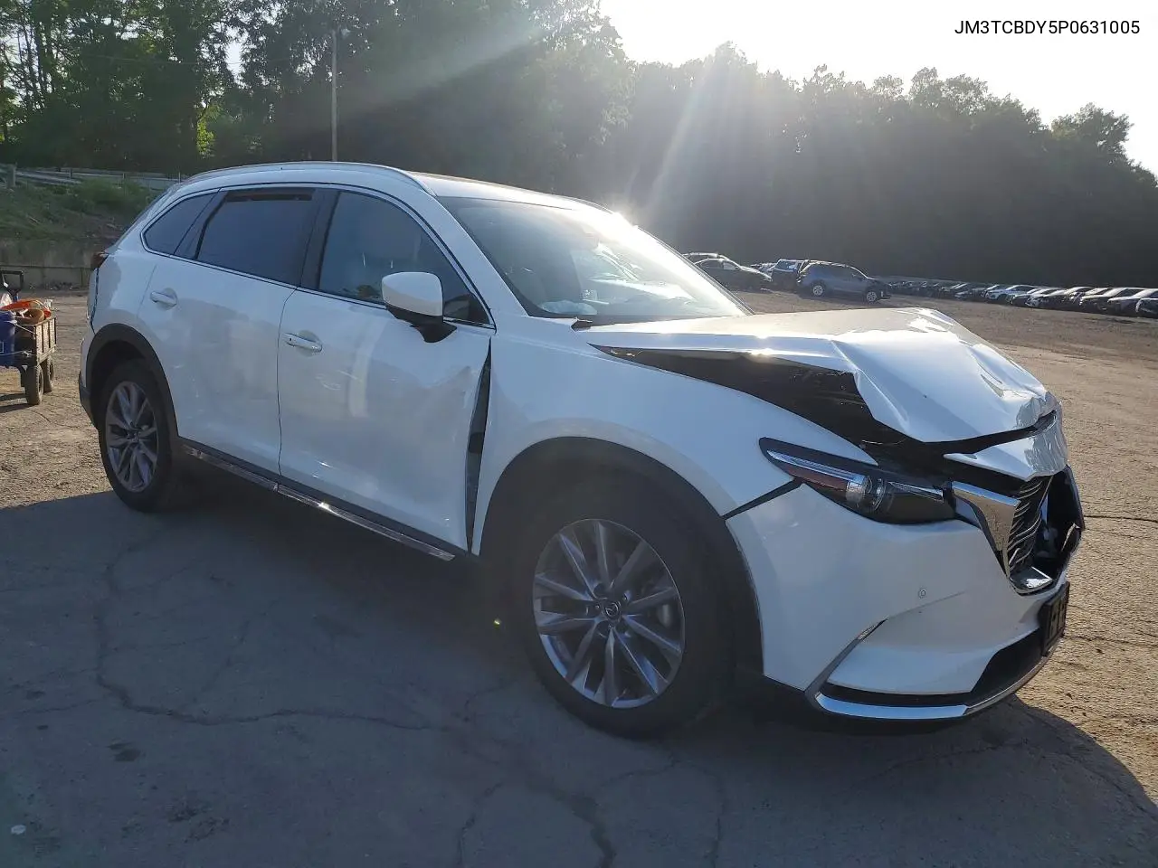 2023 Mazda Cx-9 Grand Touring VIN: JM3TCBDY5P0631005 Lot: 59065956