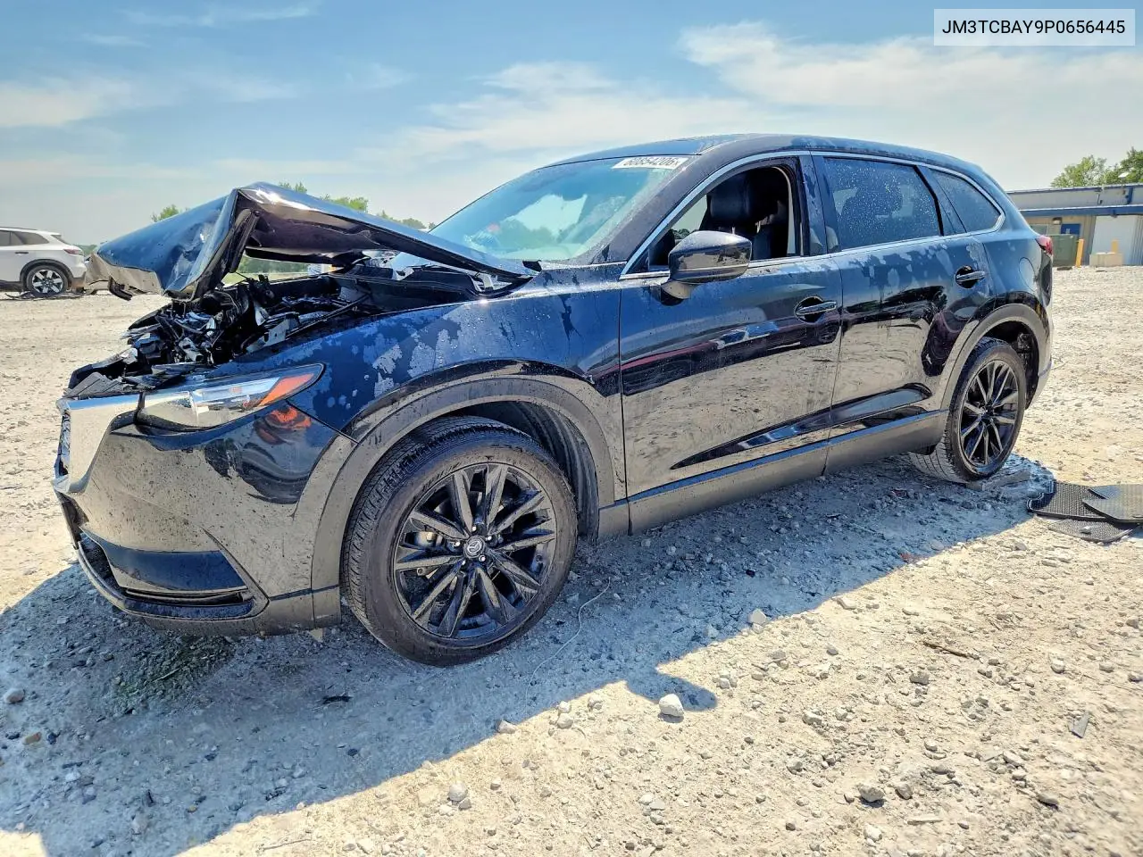 2023 Mazda Cx-9 Touring Plus VIN: JM3TCBAY9P0656445 Lot: 60854206