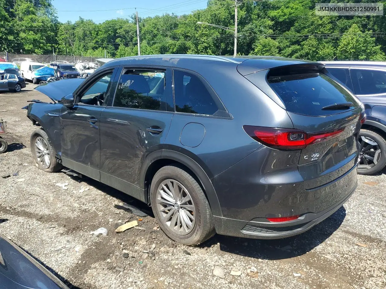2025 Mazda Cx-90 Preferred VIN: JM3KKBHD5S1250991 Lot: 54950806