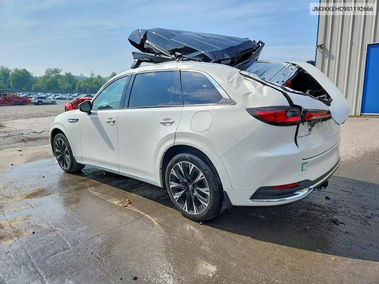 2025 Mazda Cx-90 Premium Plus VIN: JM3KKEHC9S1192666 Lot: 60667916