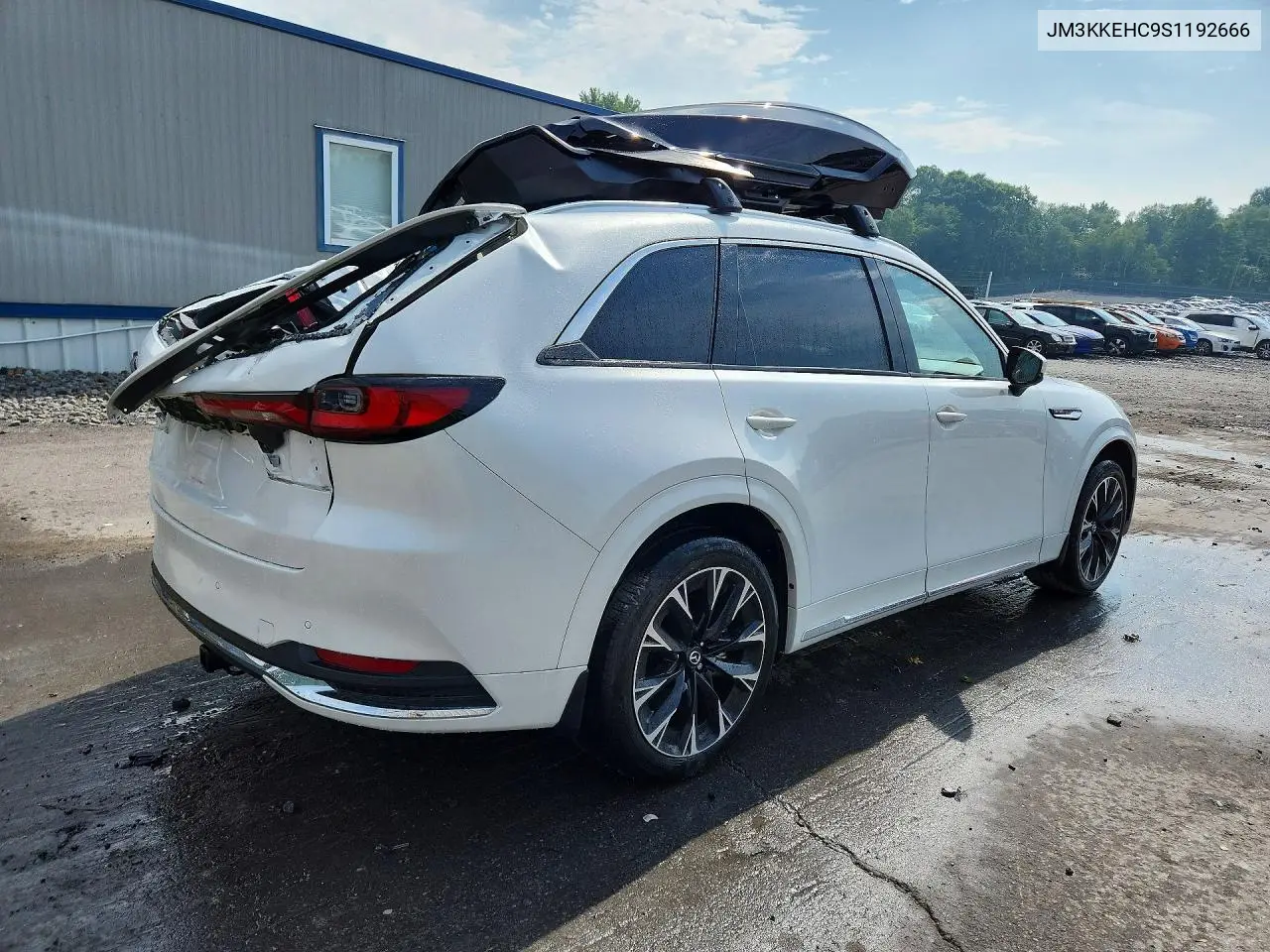 2025 Mazda Cx-90 Premium Plus VIN: JM3KKEHC9S1192666 Lot: 60667916