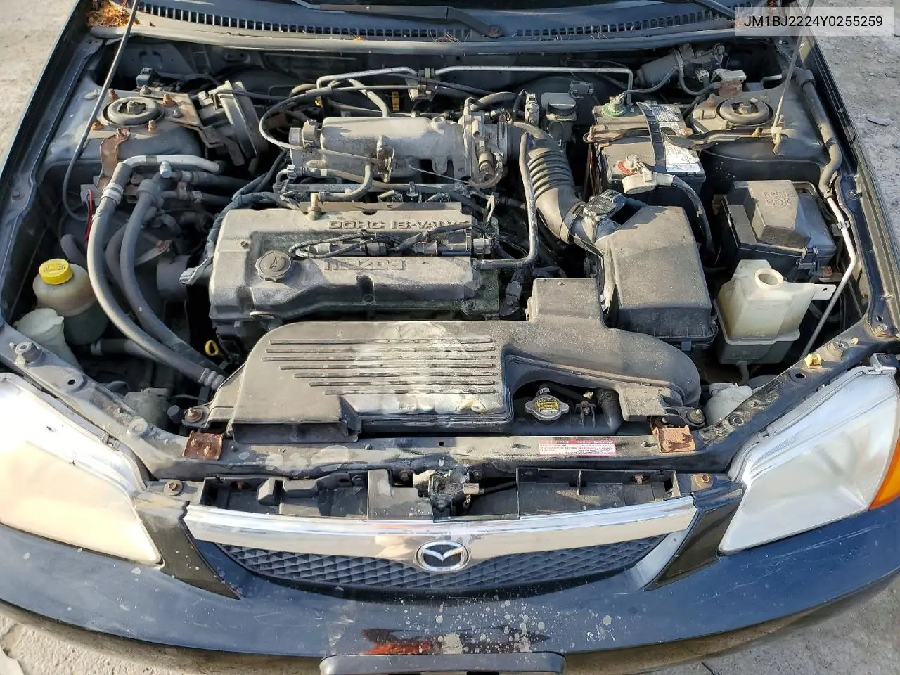 2000 Mazda Protege Dx VIN: JM1BJ2224Y0255259 Lot: 53668846
