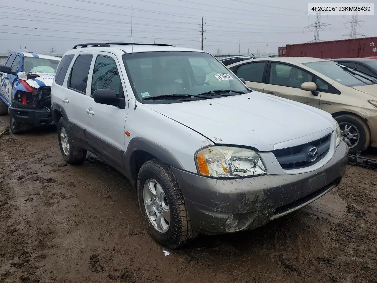 2003 Mazda Tribute Es VIN: 4F2CZ06123KM25439 Lot: 97766945
