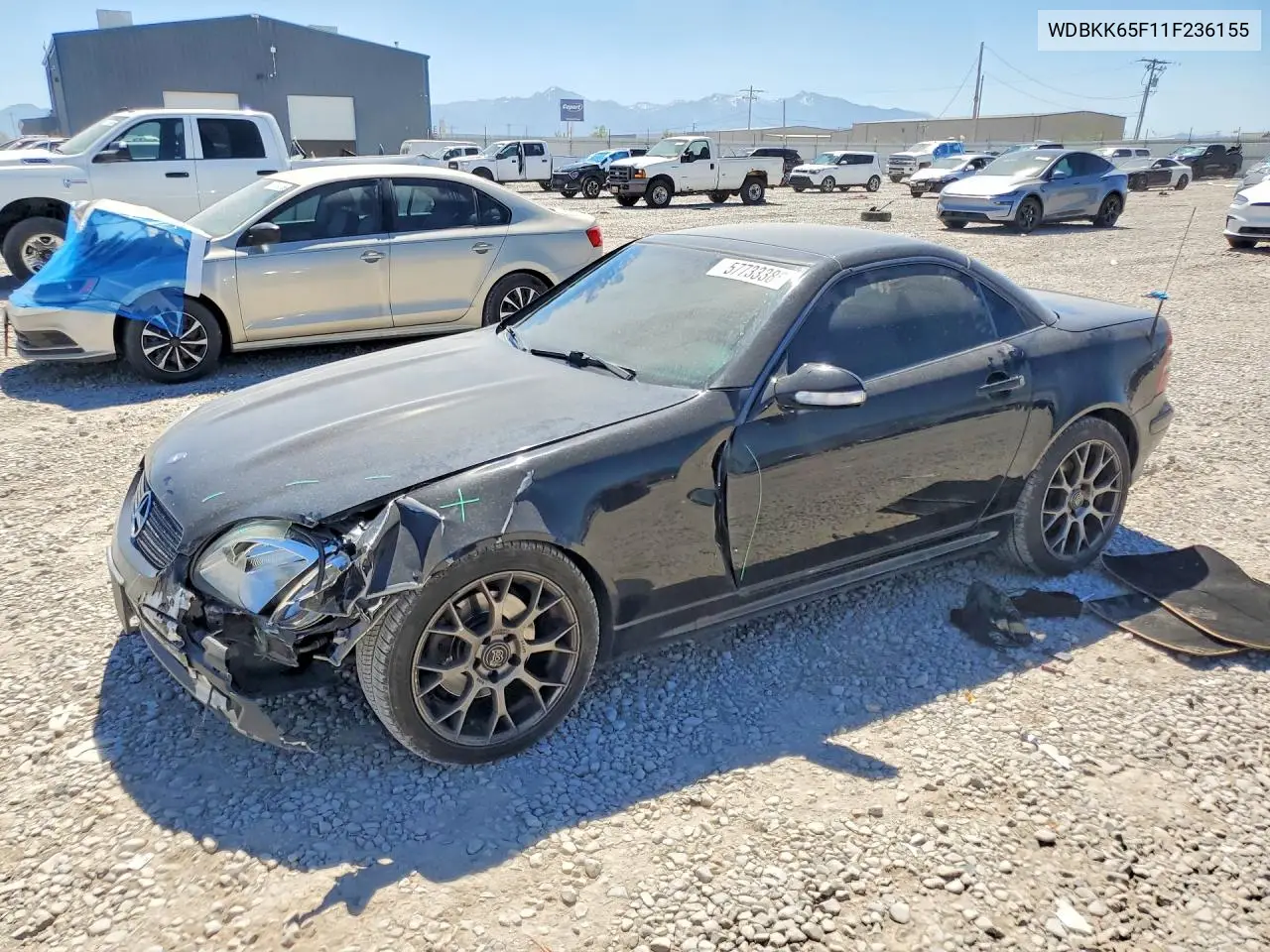 2001 Mercedes-Benz Slk 320 VIN: WDBKK65F11F236155 Lot: 57733386