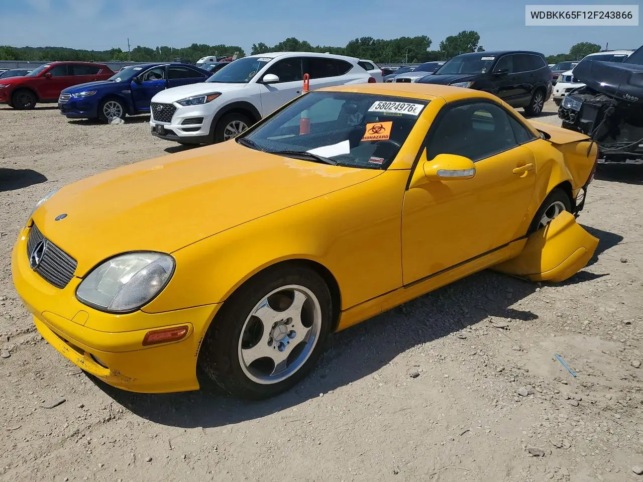 2002 Mercedes-Benz Slk 320 VIN: WDBKK65F12F243866 Lot: 58024976