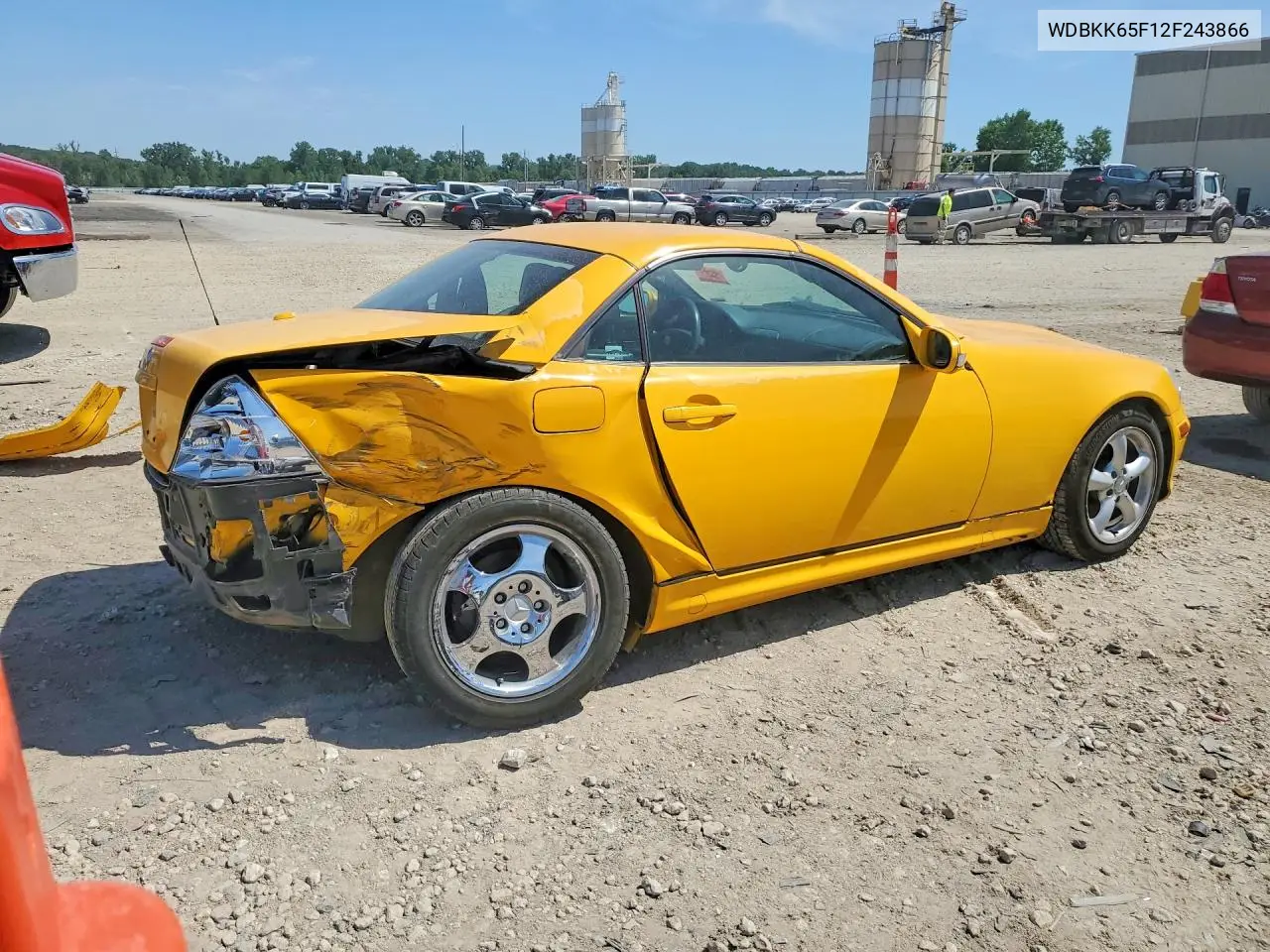 2002 Mercedes-Benz Slk 320 VIN: WDBKK65F12F243866 Lot: 58024976