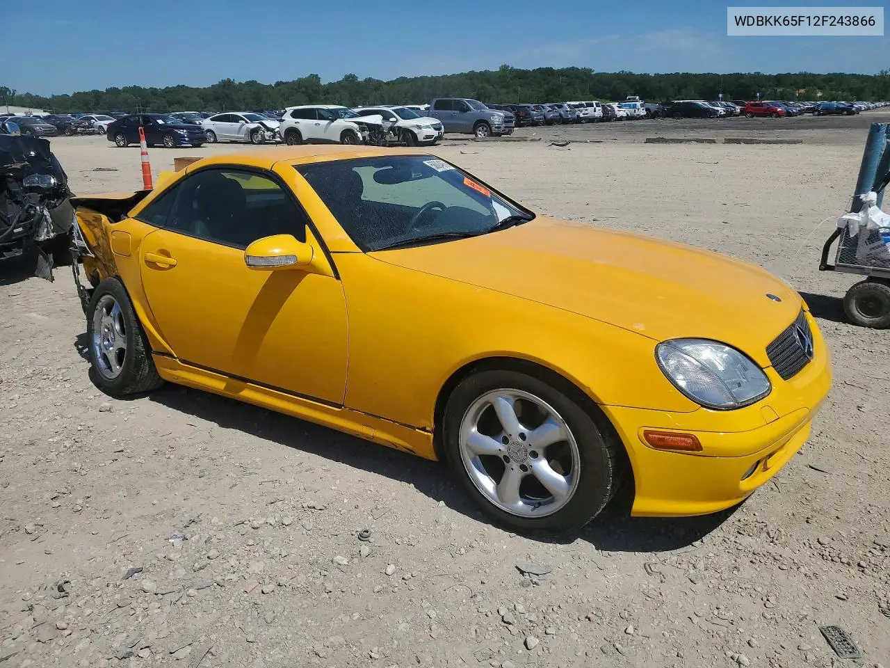 2002 Mercedes-Benz Slk 320 VIN: WDBKK65F12F243866 Lot: 58024976