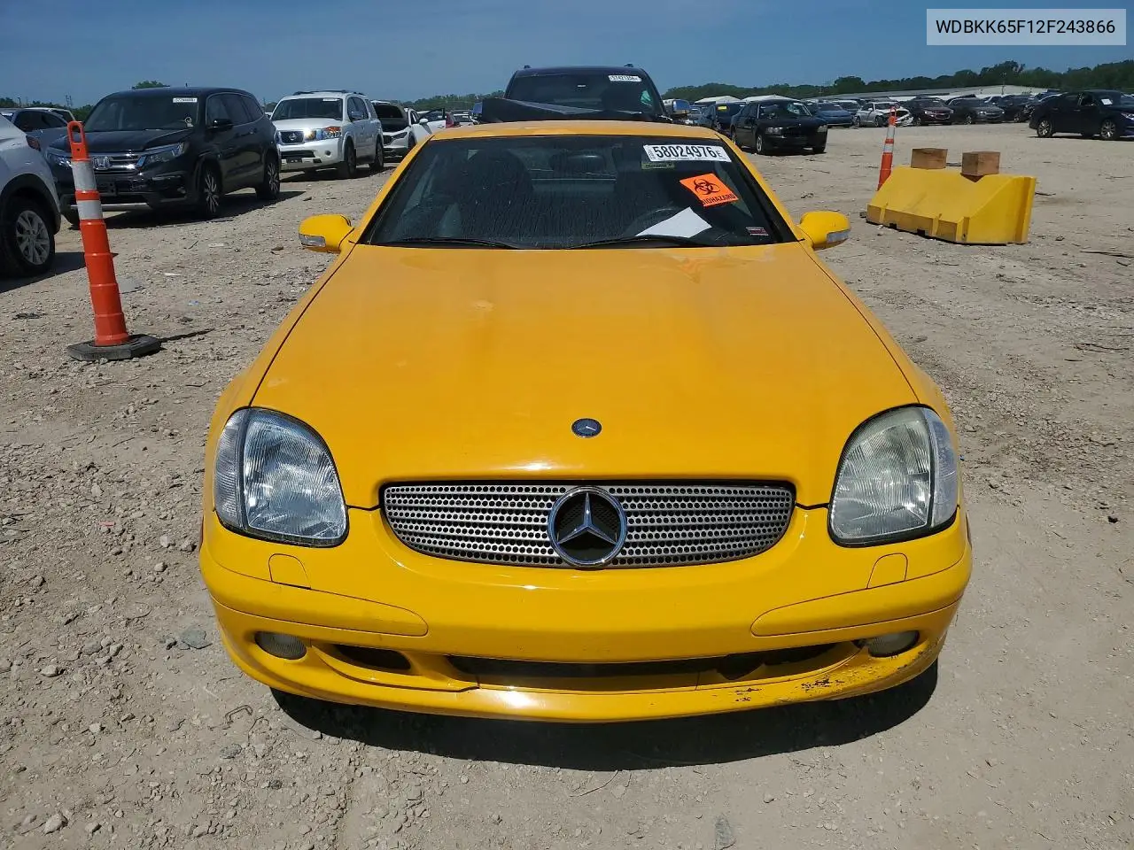 2002 Mercedes-Benz Slk 320 VIN: WDBKK65F12F243866 Lot: 58024976