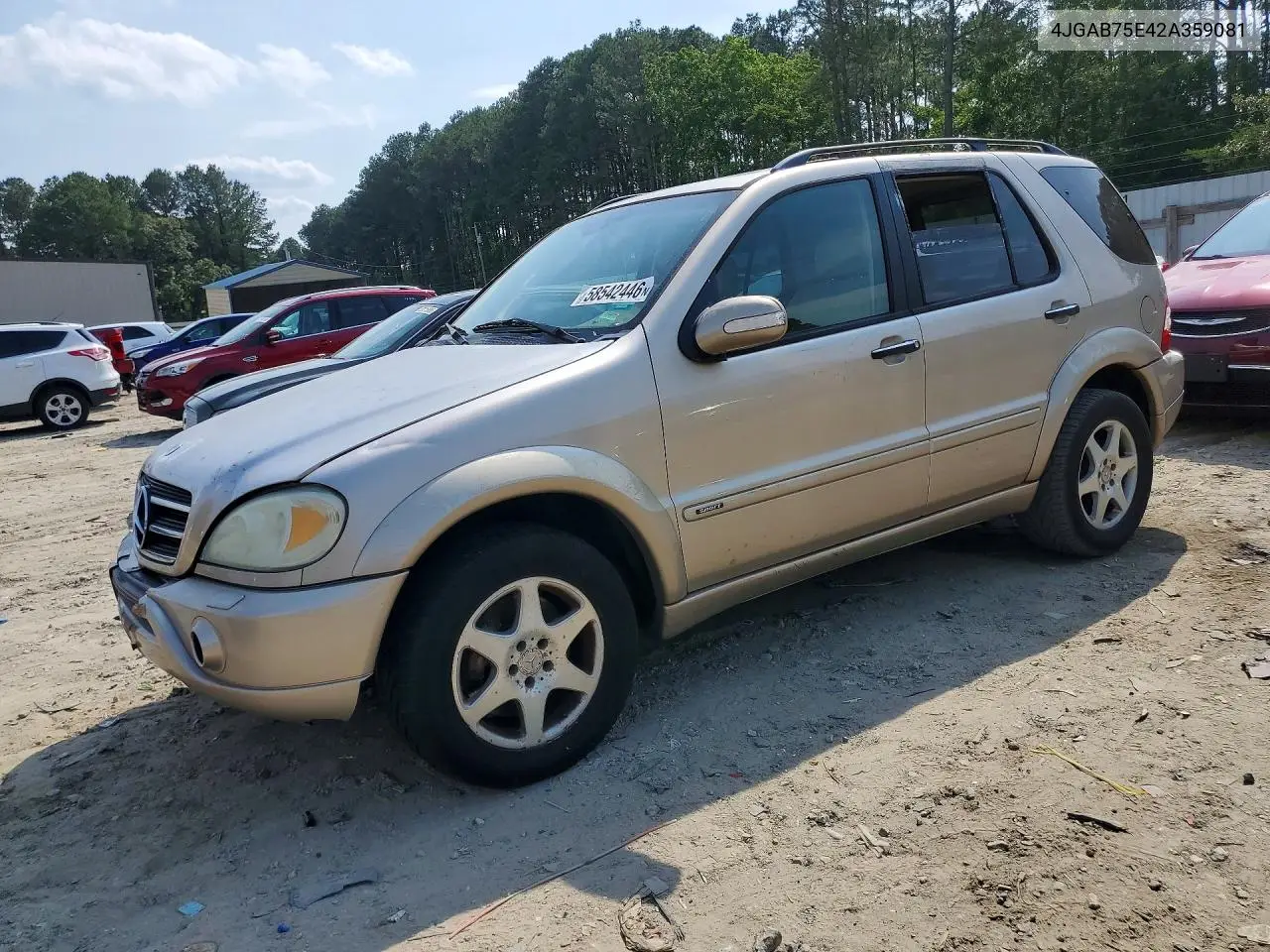 2002 Mercedes-Benz Ml 500 VIN: 4JGAB75E42A359081 Lot: 58542446