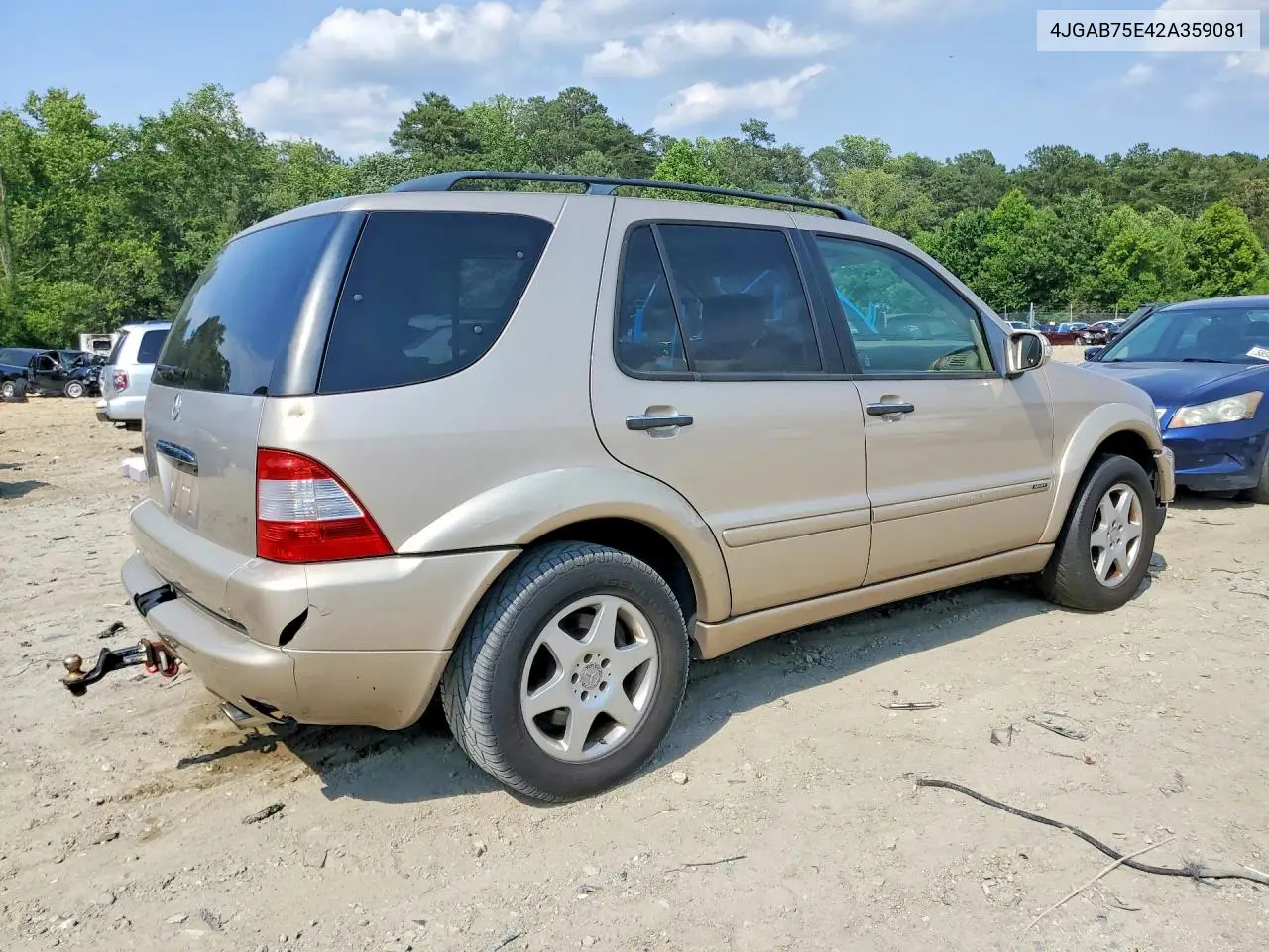 2002 Mercedes-Benz Ml 500 VIN: 4JGAB75E42A359081 Lot: 58542446