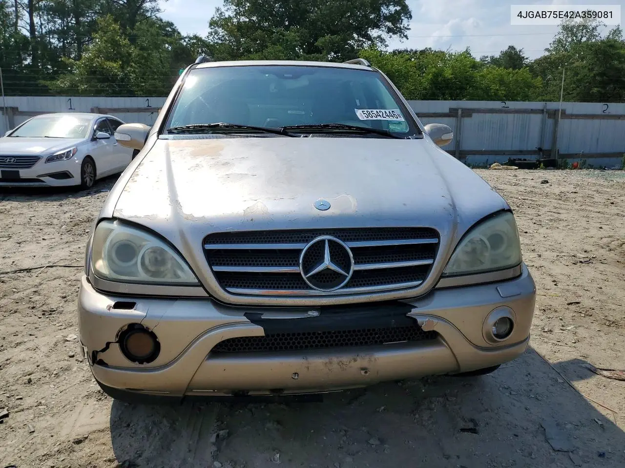 2002 Mercedes-Benz Ml 500 VIN: 4JGAB75E42A359081 Lot: 58542446