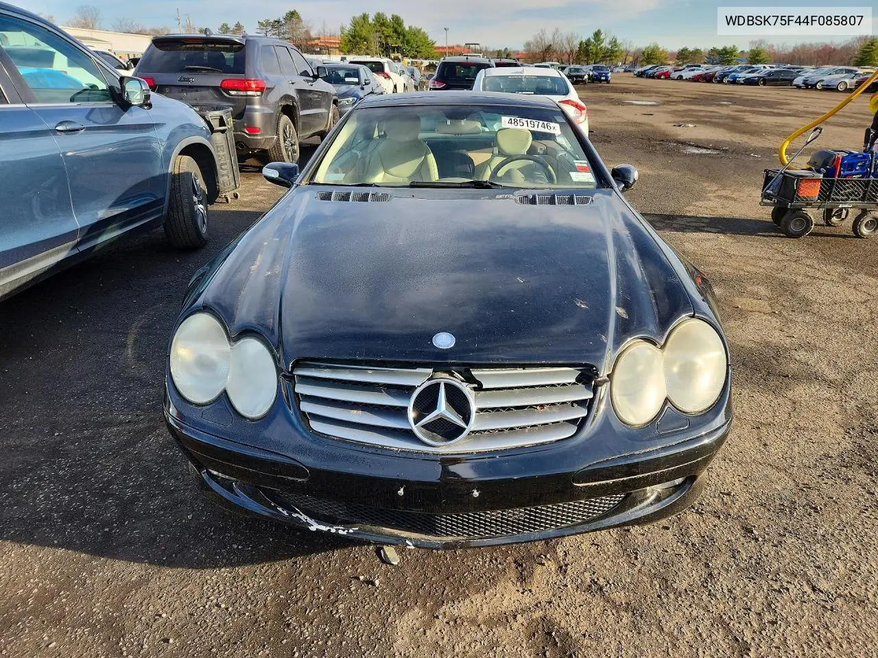 V (R230)