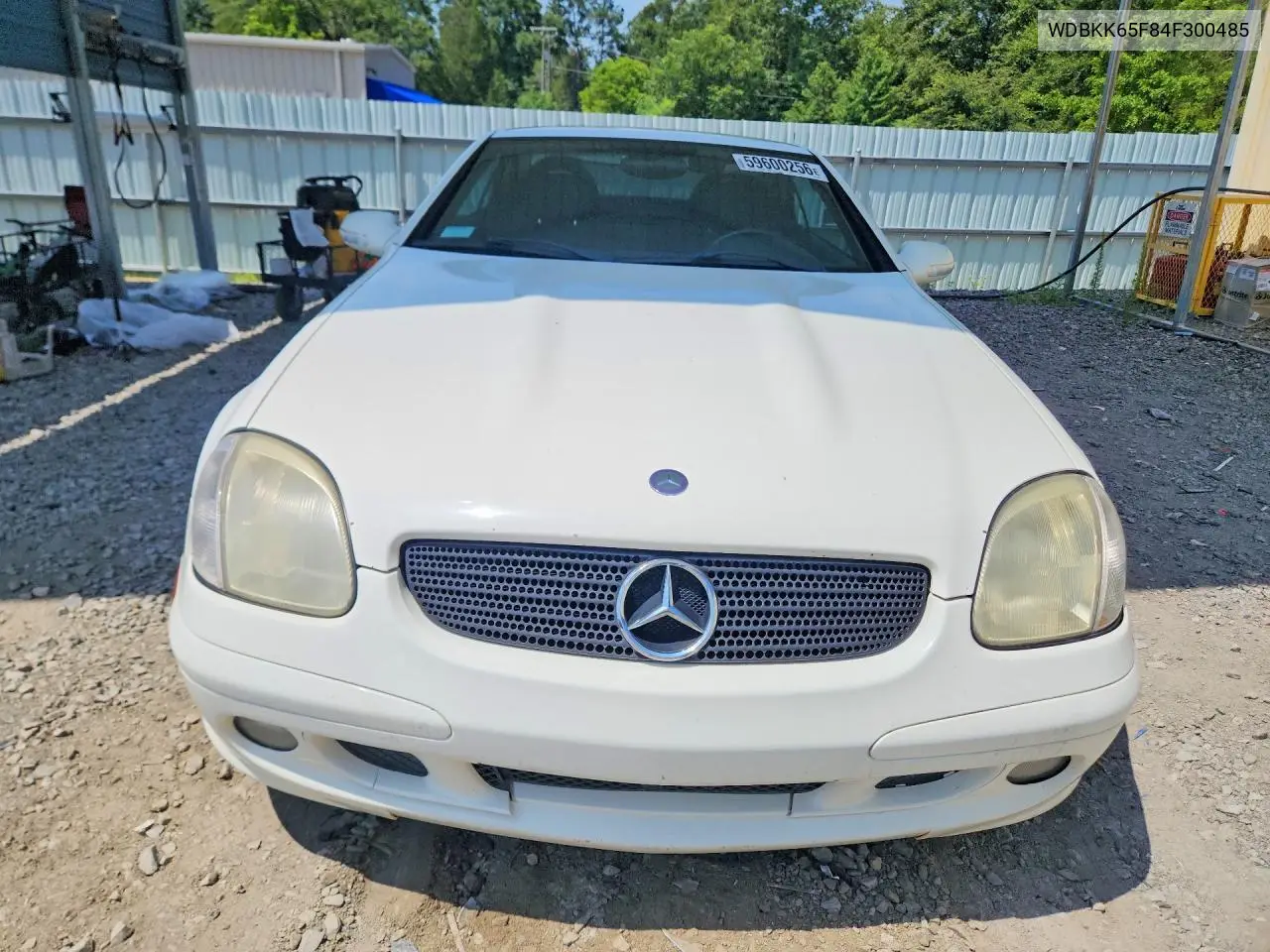 2004 Mercedes-Benz Slk 320 VIN: WDBKK65F84F300485 Lot: 59600256