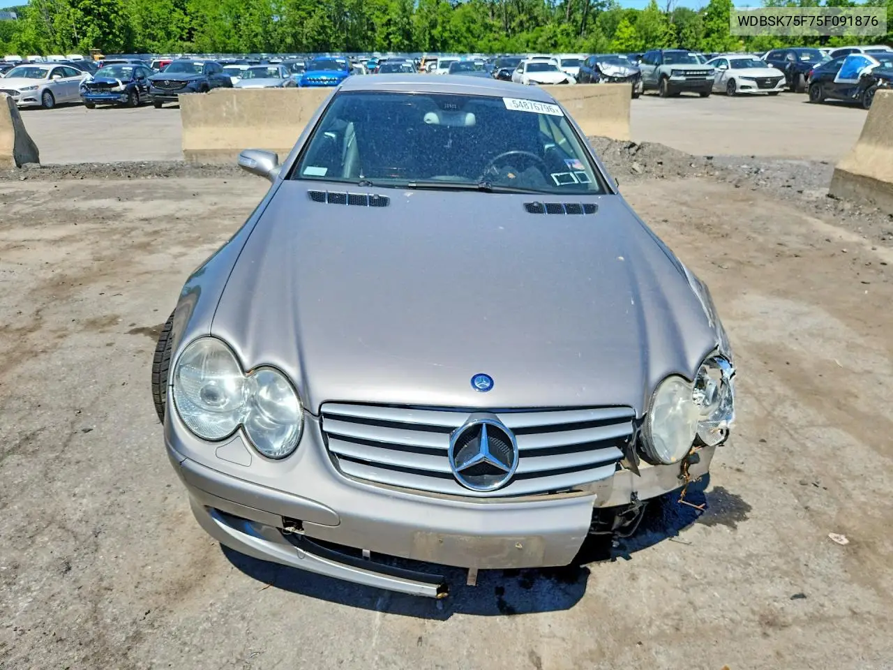 2005 Mercedes-Benz Sl 500 VIN: WDBSK75F75F091876 Lot: 54876796