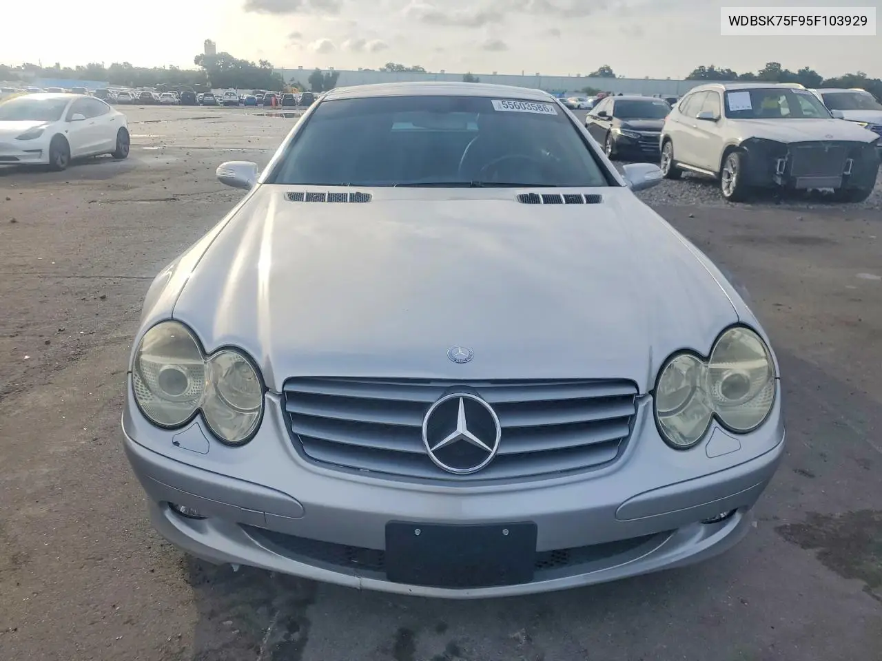 2005 Mercedes-Benz Sl 500 VIN: WDBSK75F95F103929 Lot: 55603586