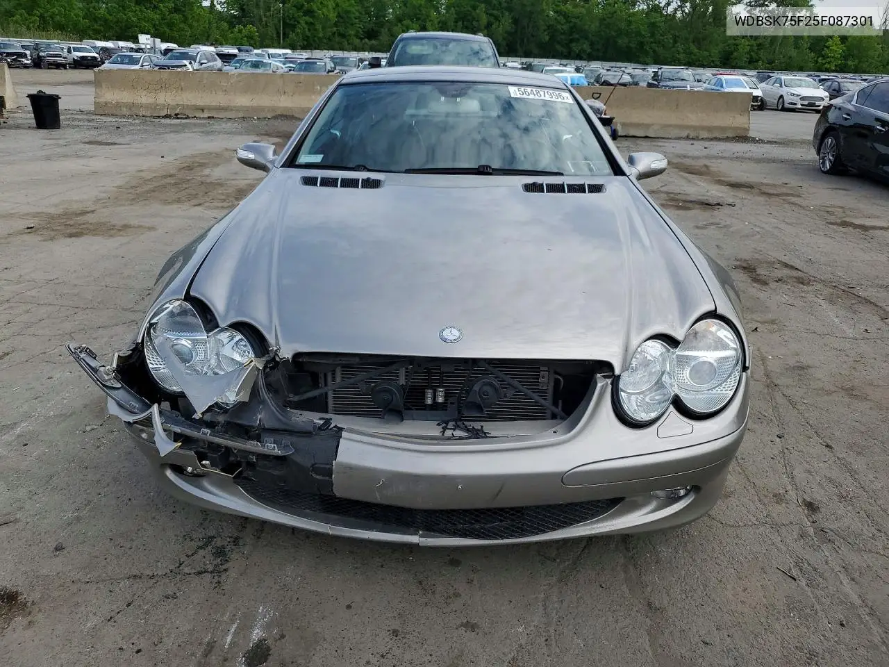 2005 Mercedes-Benz Sl 500 VIN: WDBSK75F25F087301 Lot: 56487996
