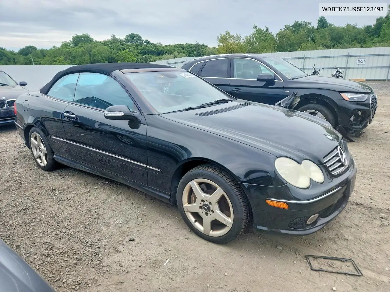 2005 Mercedes-Benz Clk 500 VIN: WDBTK75J95F123493 Lot: 57698106