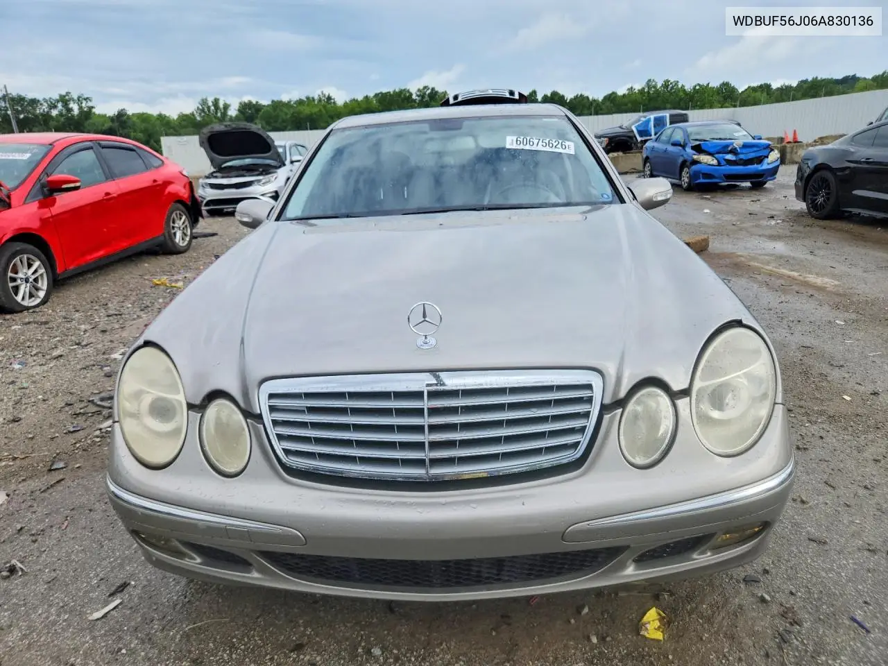 2006 Mercedes-Benz E 350 VIN: WDBUF56J06A830136 Lot: 60675626