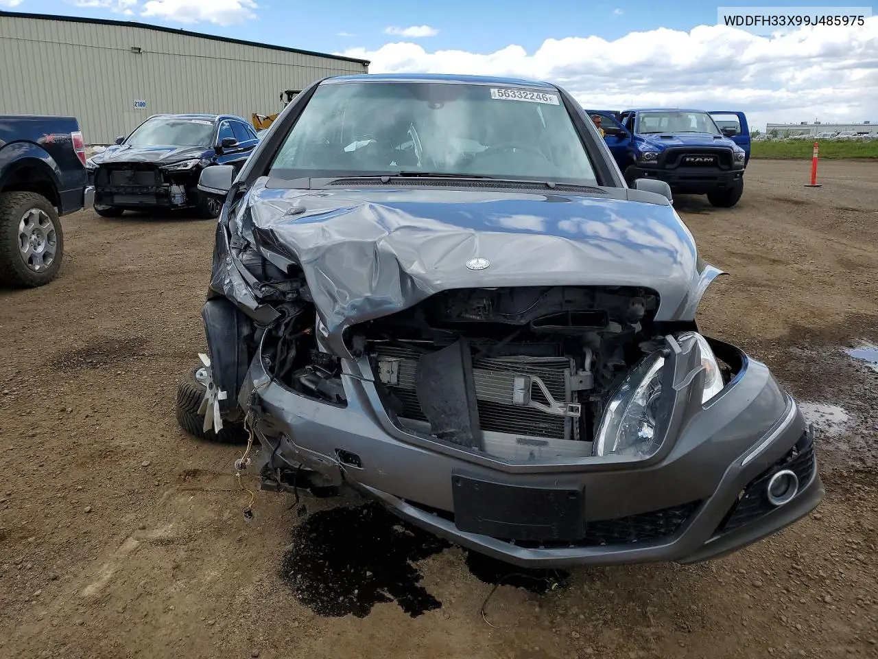 2009 Mercedes-Benz B200 VIN: WDDFH33X99J485975 Lot: 56332246