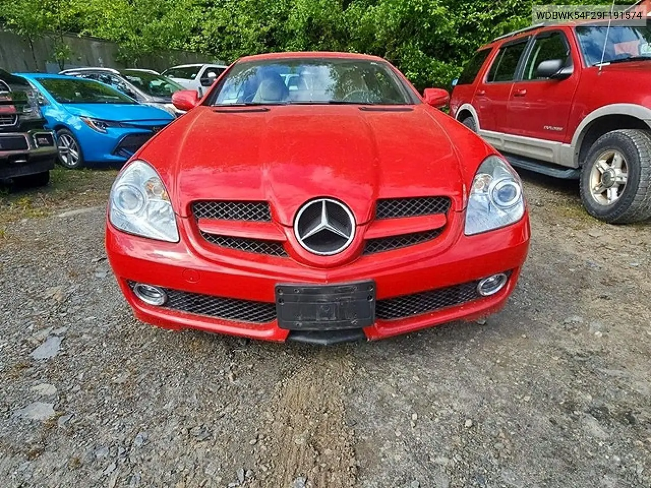 2009 Mercedes-Benz Slk 300 VIN: WDBWK54F29F191574 Lot: 59165456