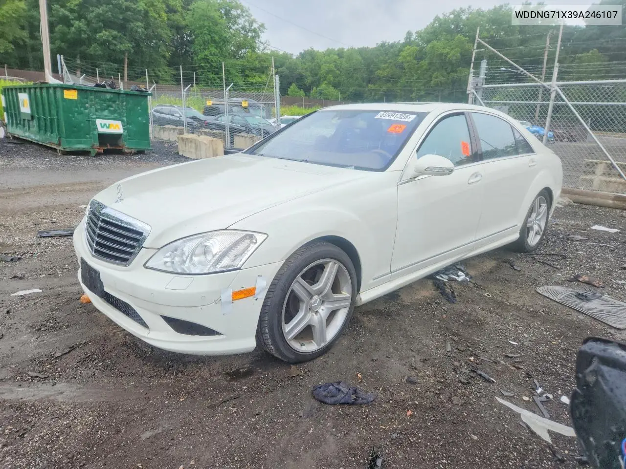 2009 Mercedes-Benz S 550 VIN: WDDNG71X39A246107 Lot: 59991326