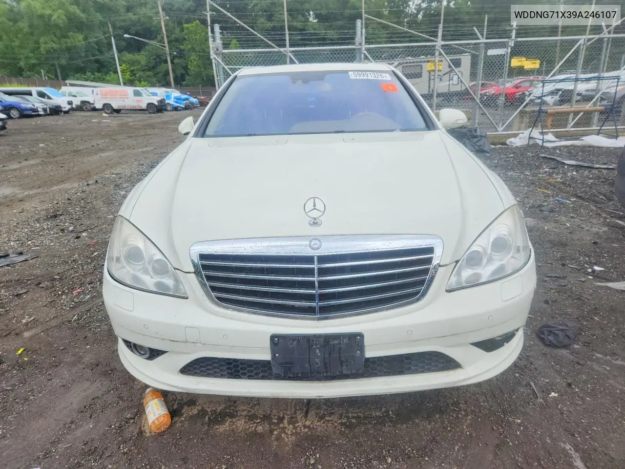 2009 Mercedes-Benz S 550 VIN: WDDNG71X39A246107 Lot: 59991326