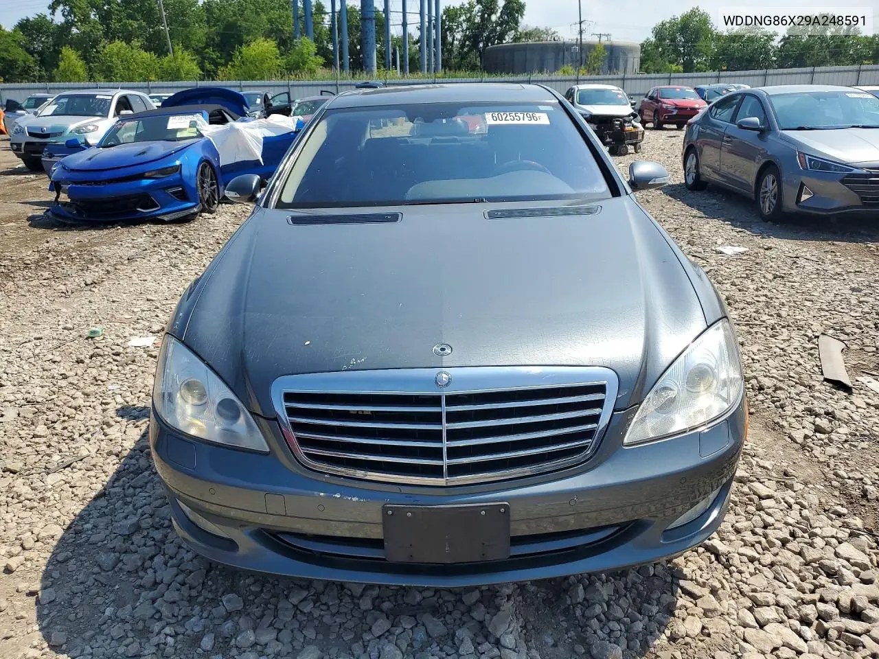 2009 Mercedes-Benz S 550 4Matic VIN: WDDNG86X29A248591 Lot: 60255796