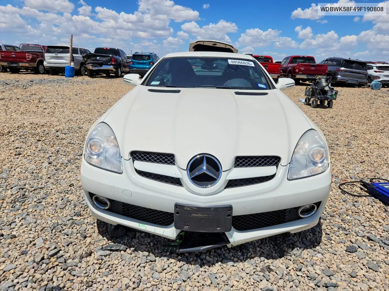 2009 Mercedes-Benz Slk 350 VIN: WDBWK58F49F190808 Lot: 60566636
