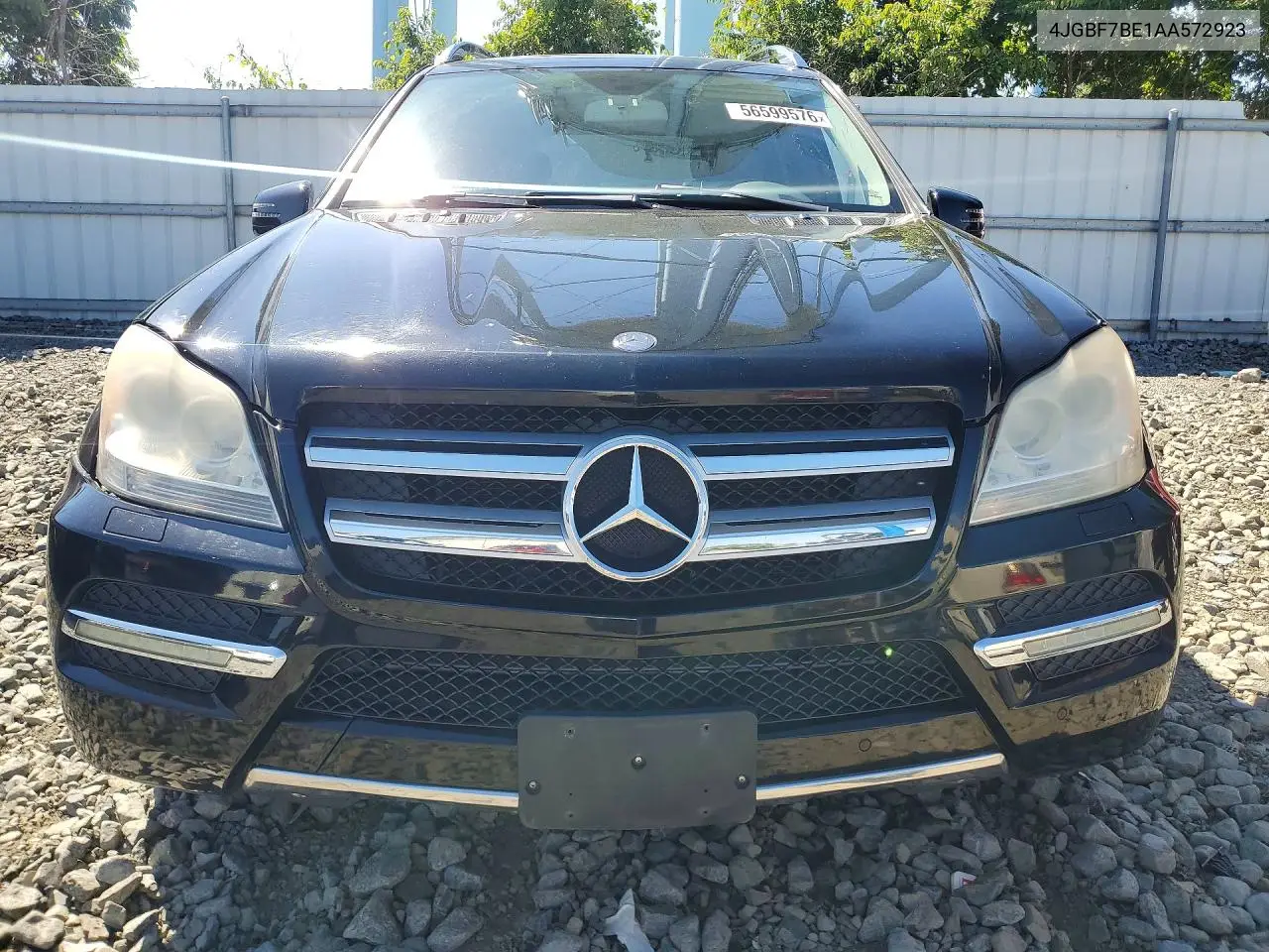 2010 Mercedes-Benz Gl 450 4Matic VIN: 4JGBF7BE1AA572923 Lot: 56599576