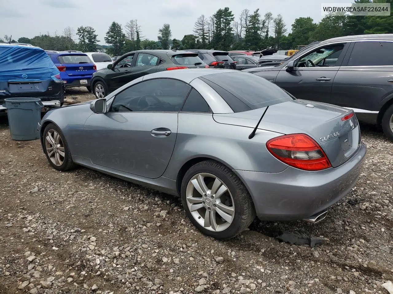 2010 Mercedes-Benz Slk 300 VIN: WDBWK5EA5AF226244 Lot: 59737126