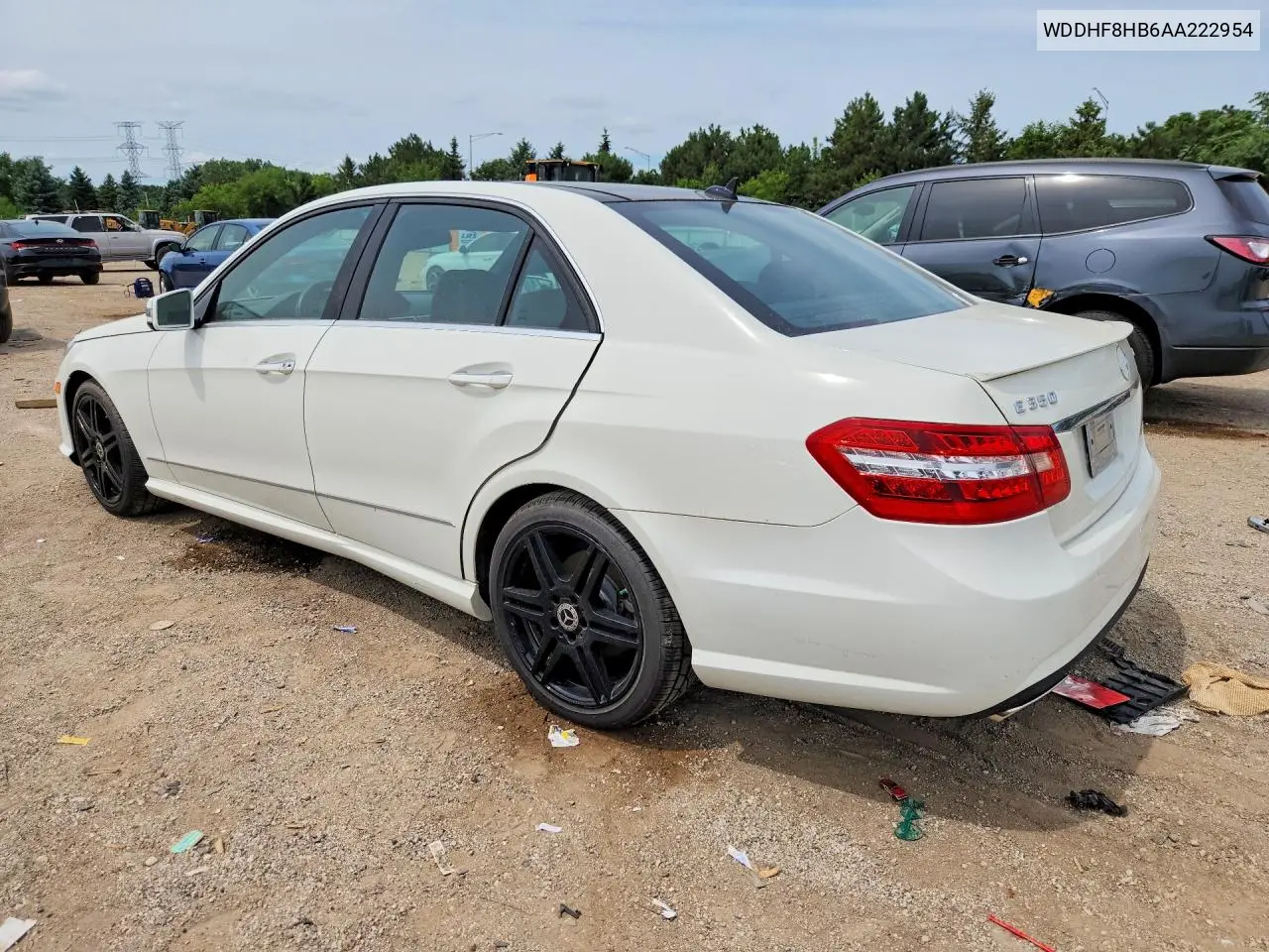 2010 Mercedes-Benz E 350 4Matic VIN: WDDHF8HB6AA222954 Lot: 60410586